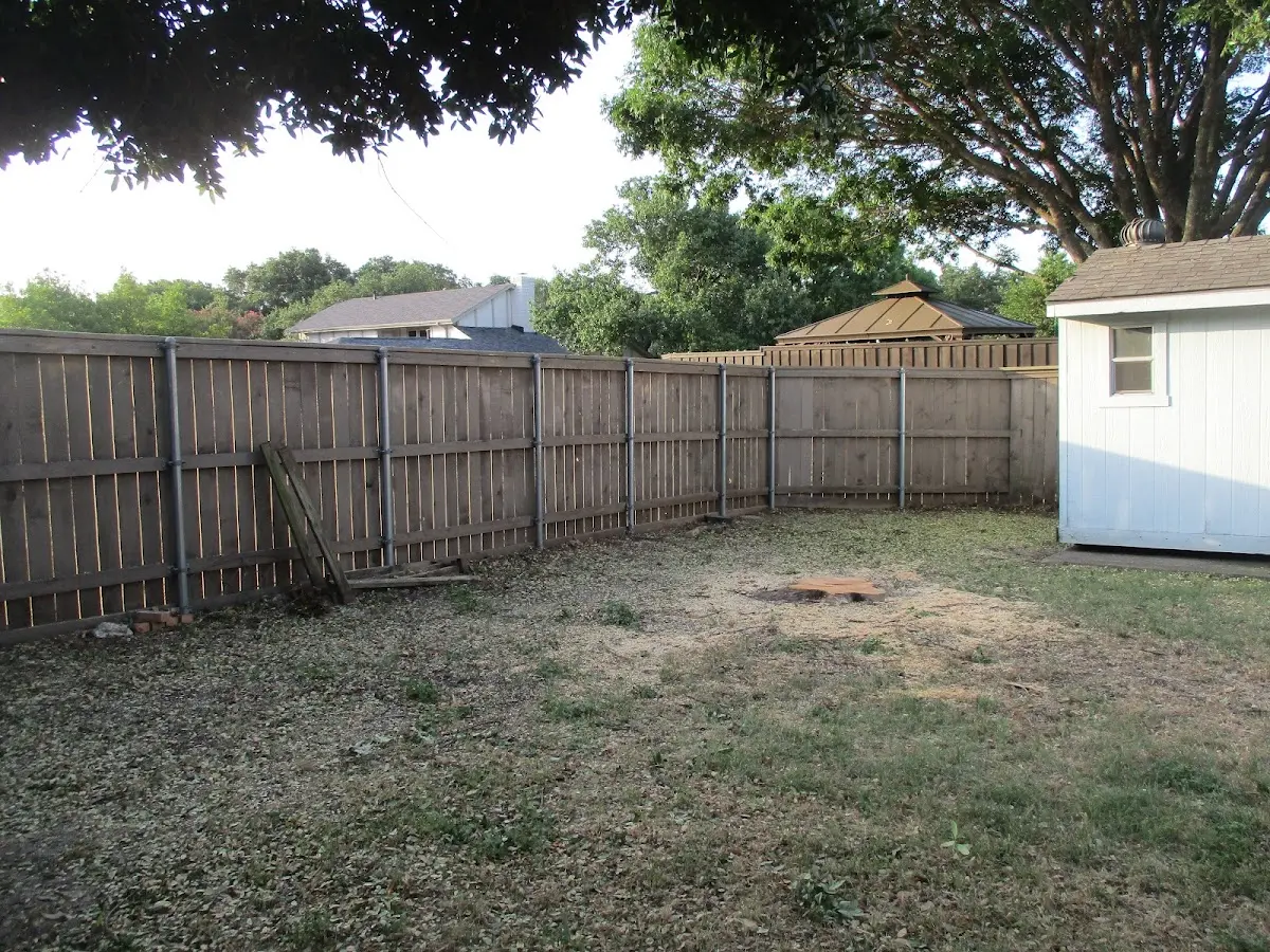 Cleared yard after professional tree removal in Juntura